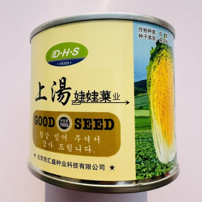 上汤娃娃菜娃娃菜种子口感好绿叶黄心早熟高产商品性佳