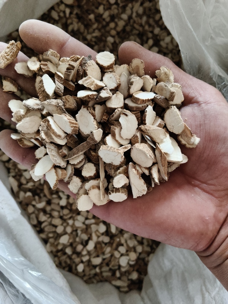 主营毫白芷，常年加工各种规挌圆片斜片无硫有硫，