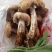鸡枞菌