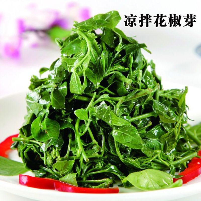 花椒芽非新鲜花椒叶花椒芽山野菜凉拌花椒芽袋装保鲜含水300G