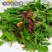 花椒芽非新鲜花椒叶花椒芽山野菜凉拌花椒芽袋装保鲜含水300G