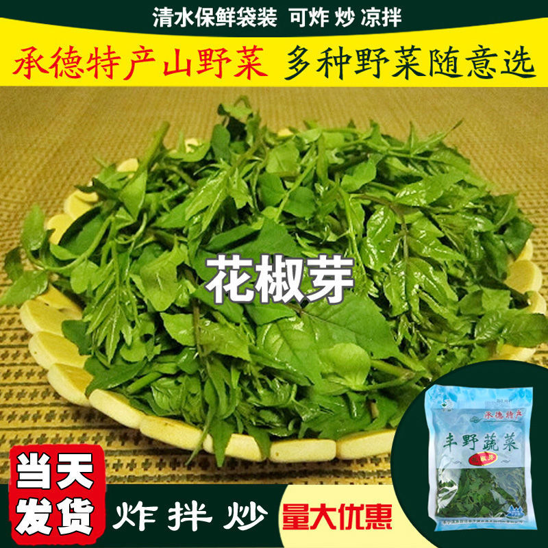 花椒芽非新鲜花椒叶花椒芽山野菜凉拌花椒芽袋装保鲜含水300G