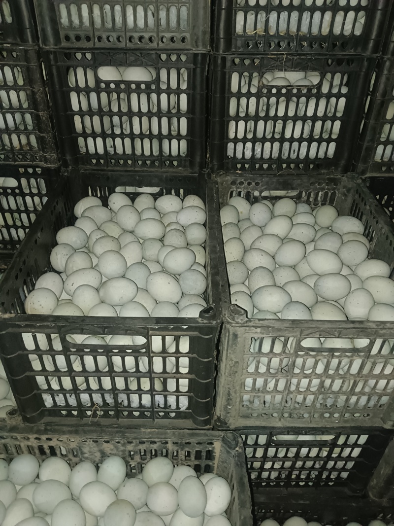 湖南无铅松花蛋，皮蛋赶集货，精品商超