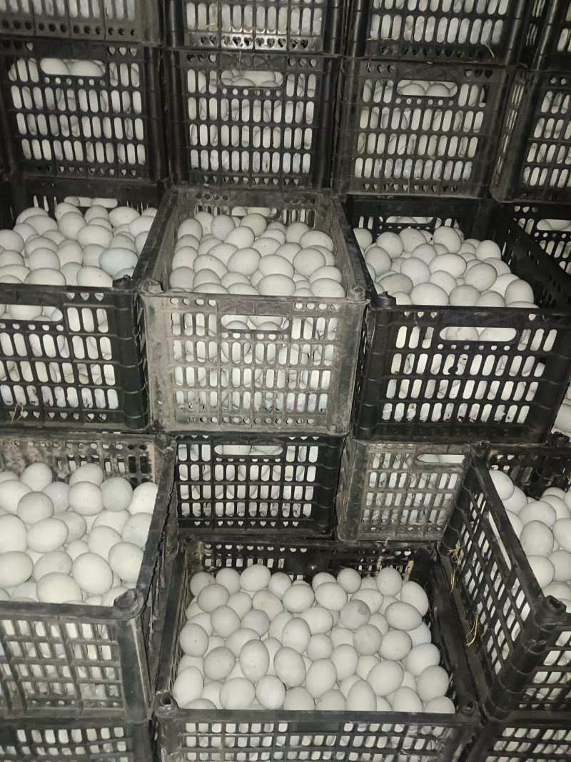 湖南无铅松花蛋，皮蛋赶集货，精品商超