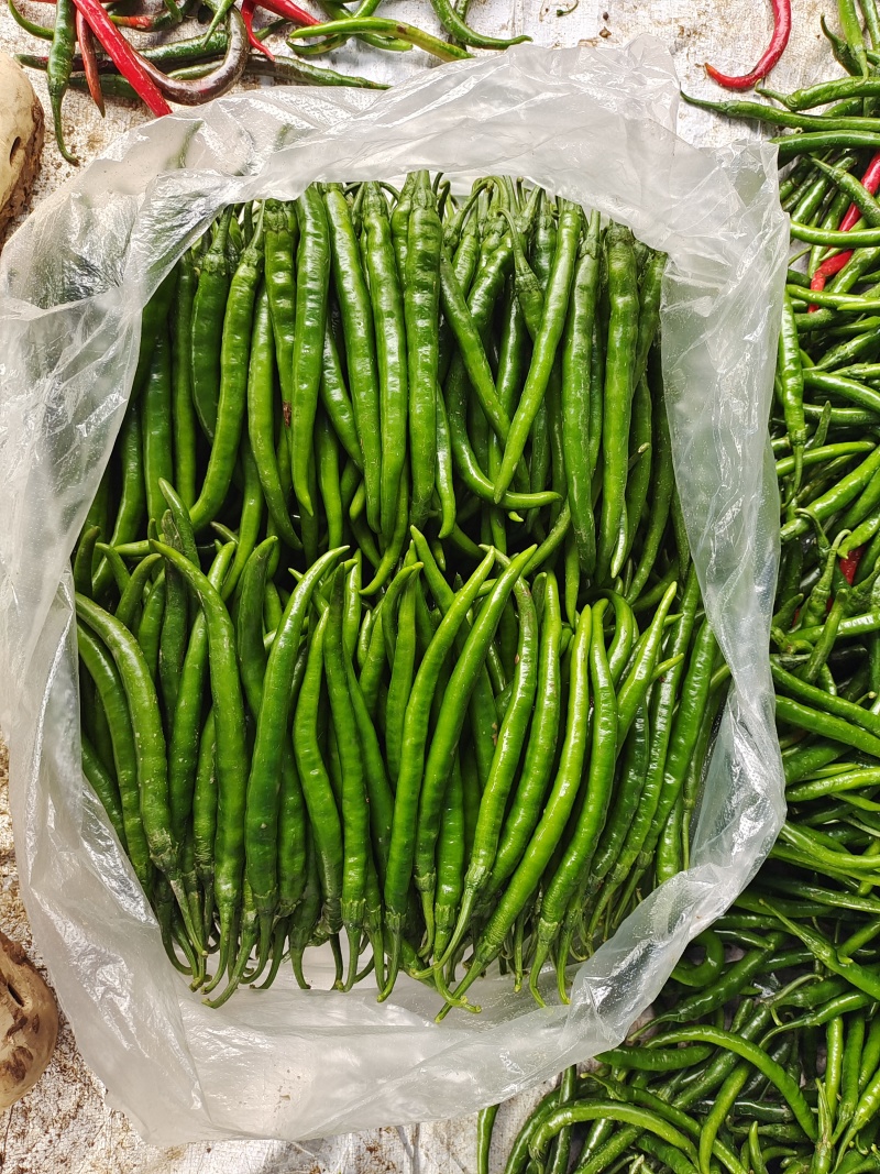 3号二荆条线椒
