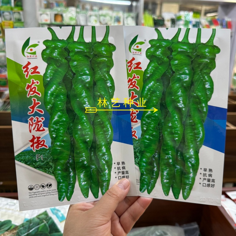 红发大陇椒大果螺丝椒种子早熟抗病产量高口感好