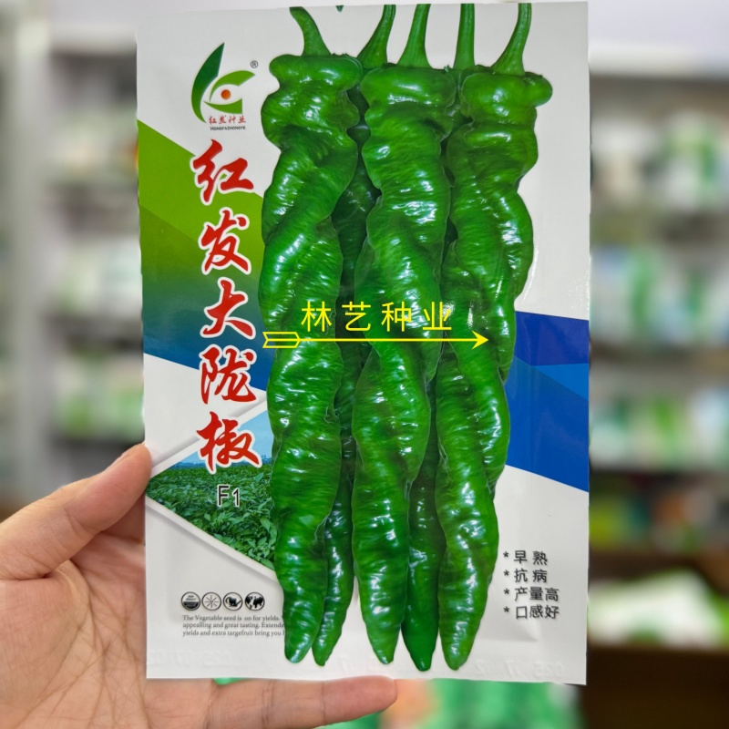 红发大陇椒大果螺丝椒种子早熟抗病产量高口感好
