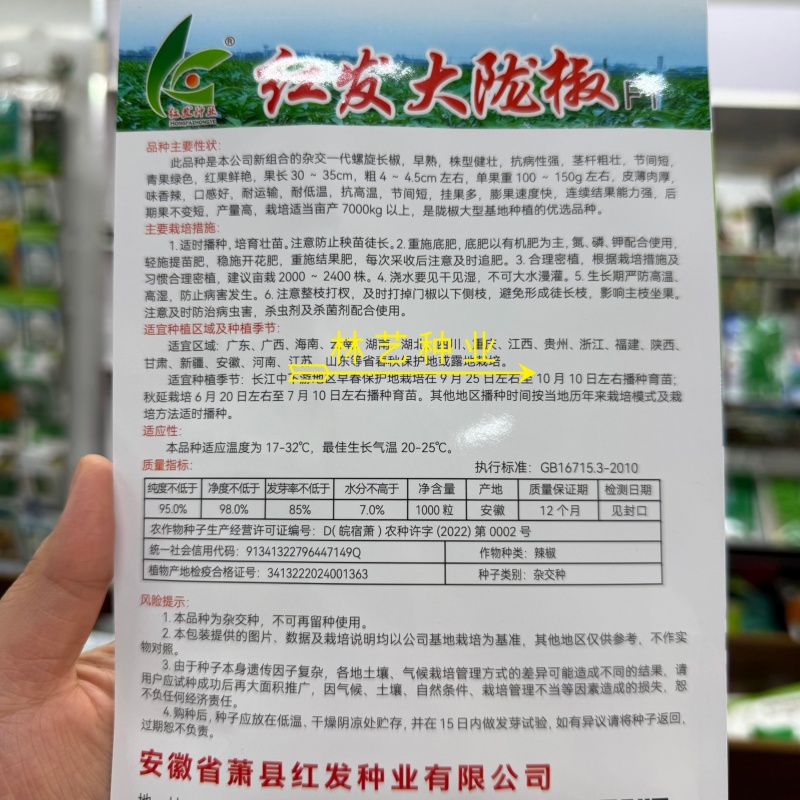 红发大陇椒大果螺丝椒种子早熟抗病产量高口感好