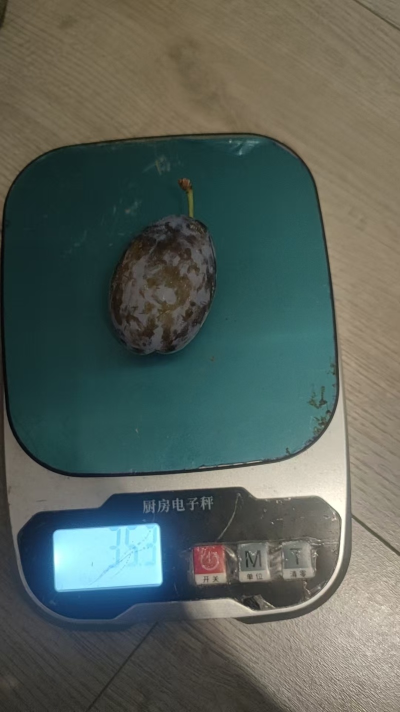 西梅一件代发