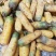 精品小顶黄胡萝卜种子生吃水果萝卜种籽齐头黄高产春秋季蔬菜