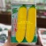 精品小顶黄胡萝卜种子生吃水果萝卜种籽齐头黄高产春秋季蔬菜
