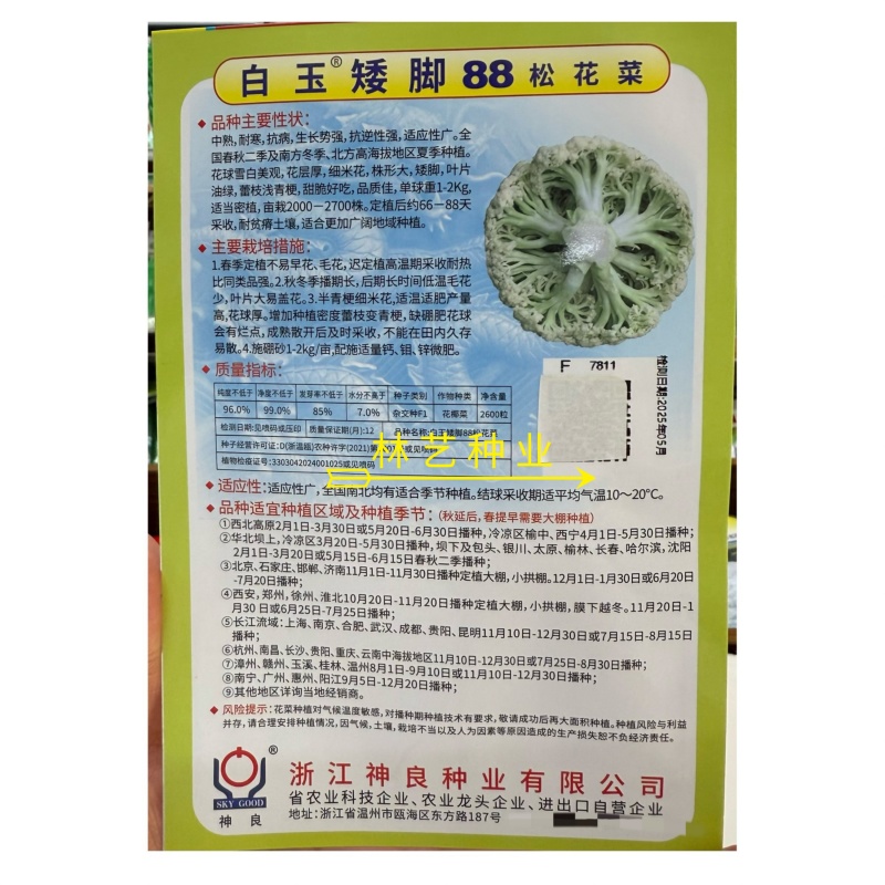 神良白玉矮脚88松花菜种子中熟青梗松花菜散花白色菜花种籽