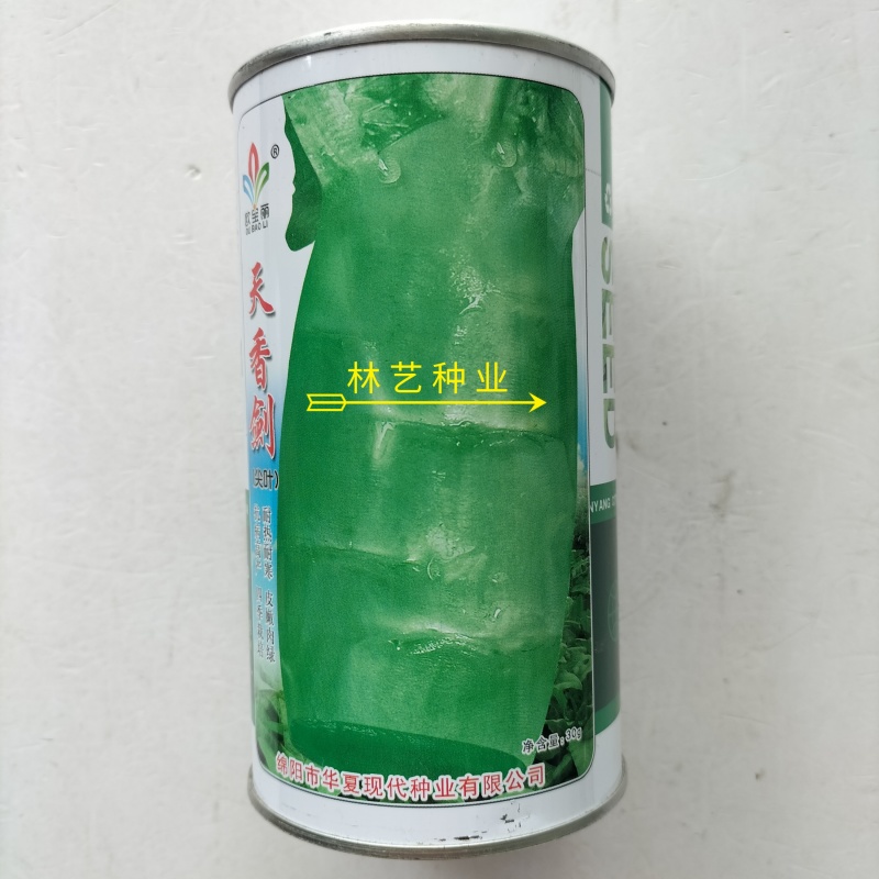 天香剑莴苣种子抗病高产四季栽培耐热耐寒皮嫩肉绿