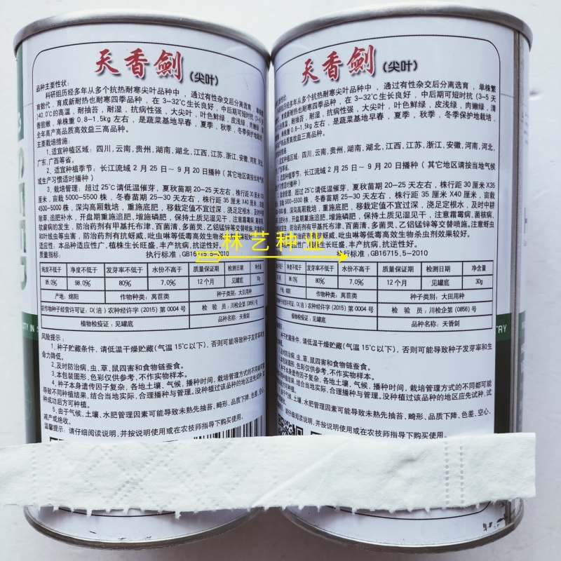 天香剑莴苣种子抗病高产四季栽培耐热耐寒皮嫩肉绿