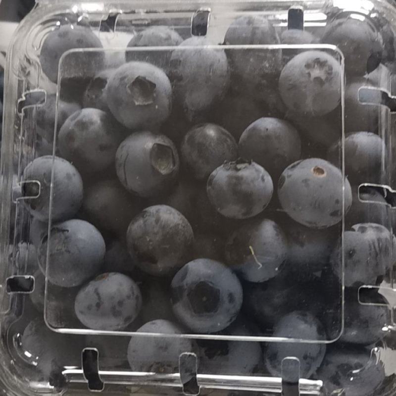 蓝莓