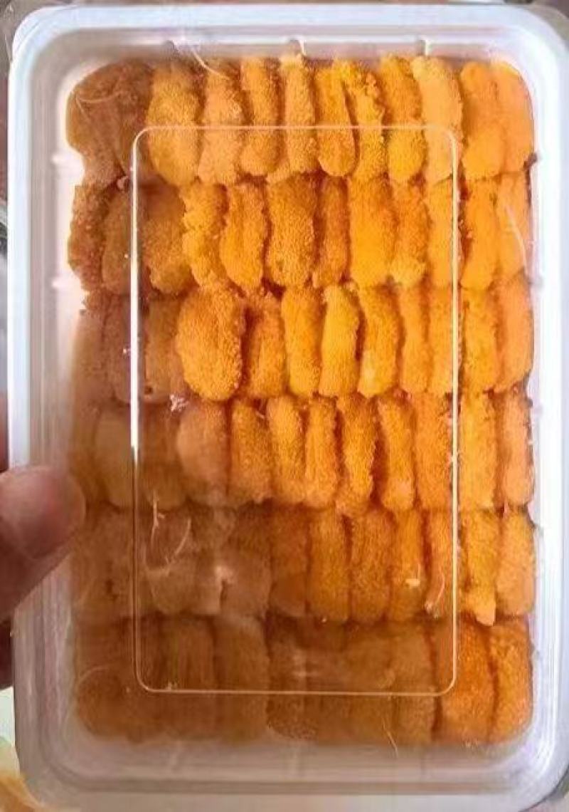 纯海胆马粪胆