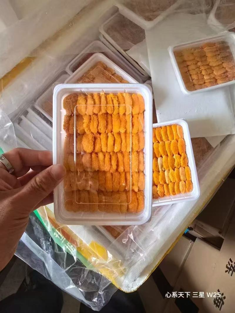 纯海胆马粪胆