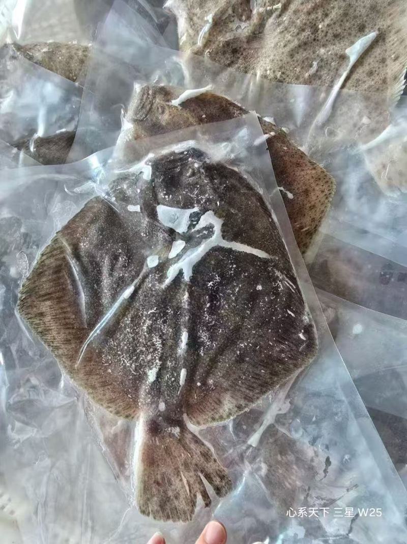 多宝鱼