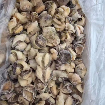 海螺肉
