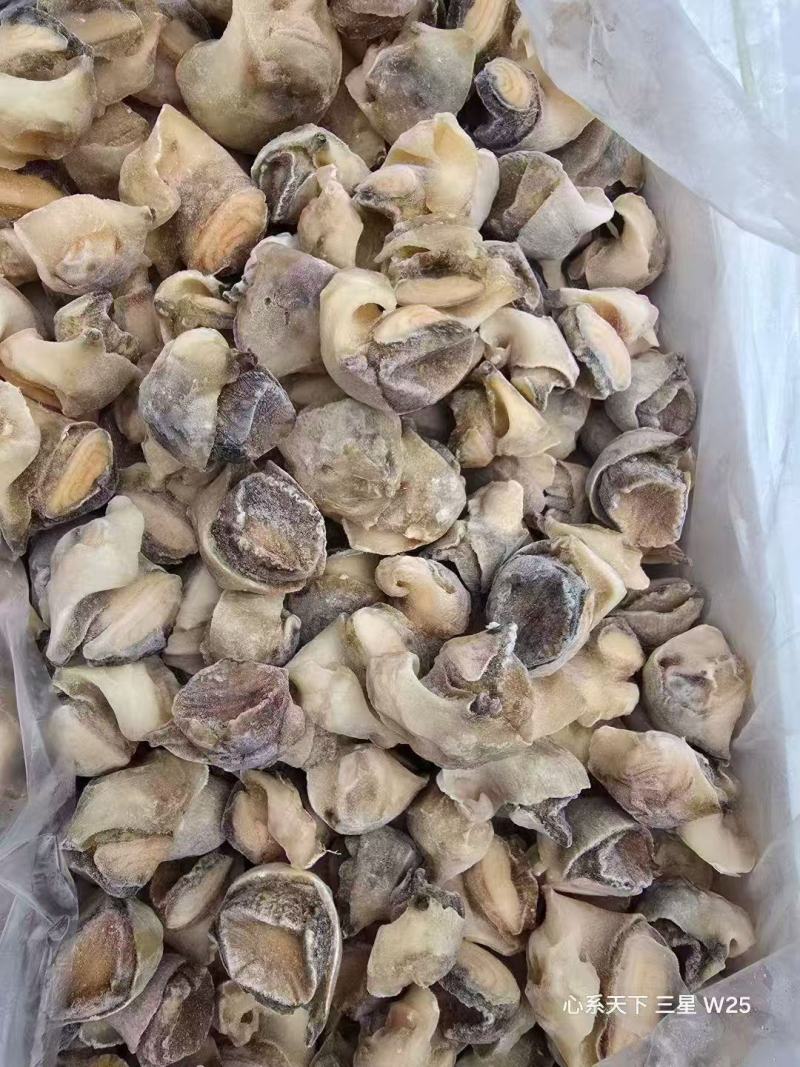 海螺肉