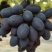 精品A17紫甜无核葡萄，