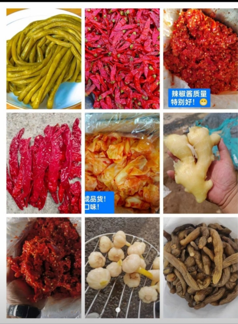 【腌辣椒】酱线椒8号半成品厂家直供量大现货