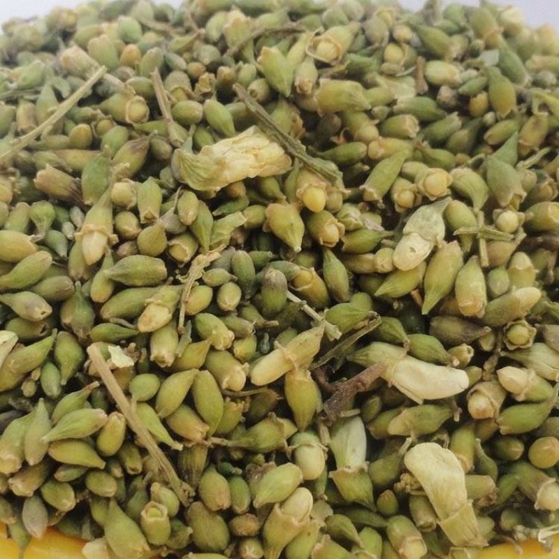 大量出售槐米