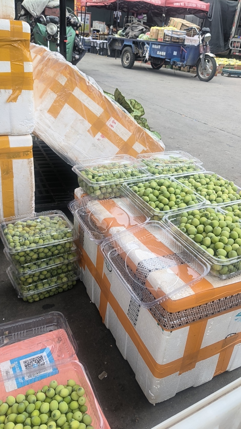 莲蓬头，荷花，带杆莲蓬，