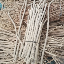 精品黄芪条