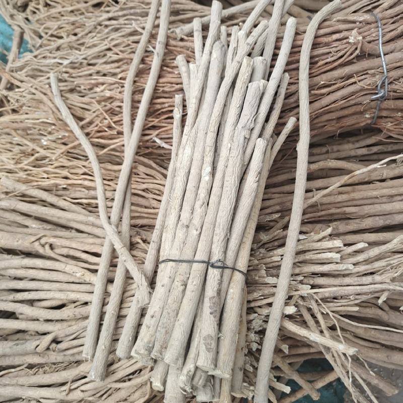 精品黄芪条
