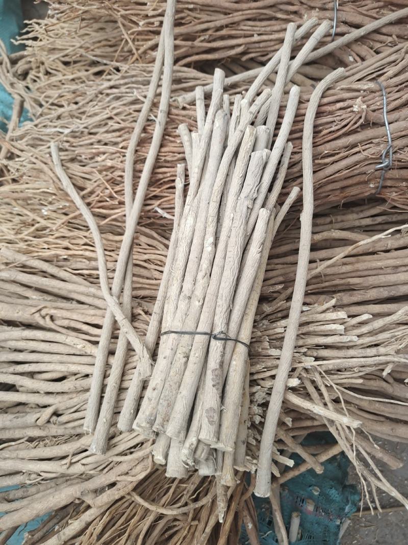 精品黄芪条
