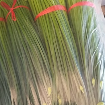 精品韭苔大量有货需要可以联系，质量**，刚上市价钱美丽