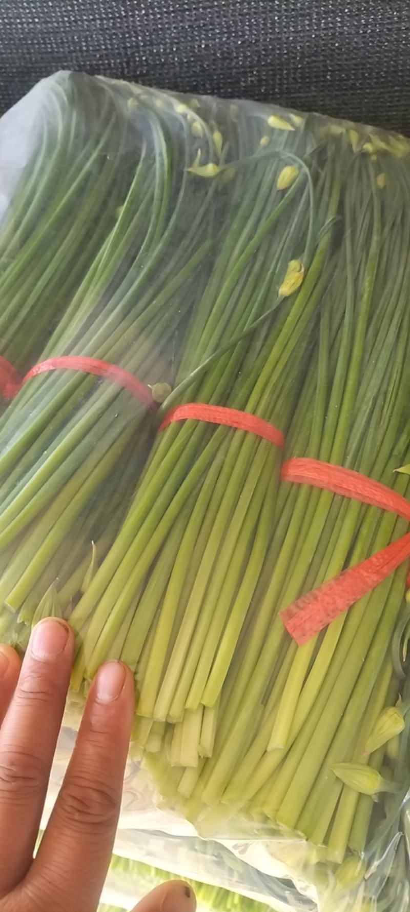 精品韭苔大量有货需要可以联系，质量**，刚上市价钱美丽