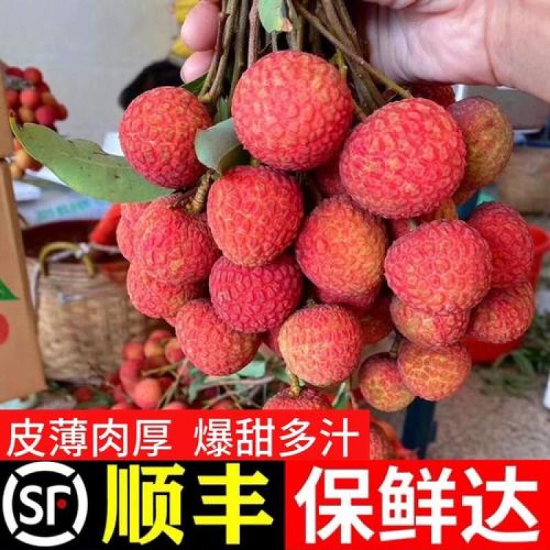 白糖黑叶荔枝新鲜现摘福建乌叶荔枝当季水果整箱