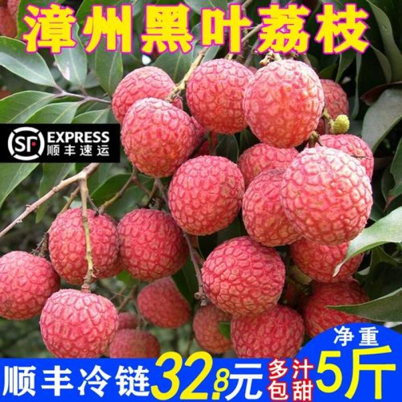 白糖黑叶荔枝新鲜现摘福建乌叶荔枝当季水果整箱