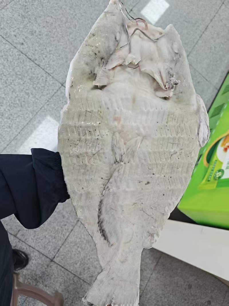开背清江鱼
