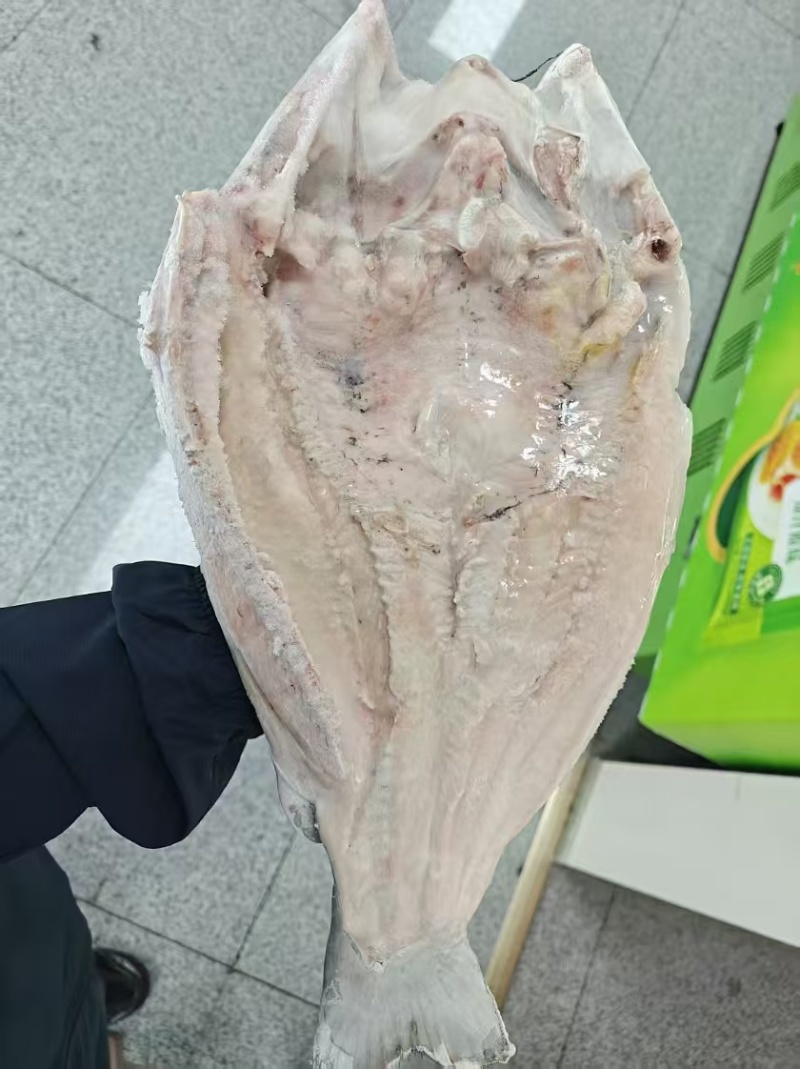 开背清江鱼