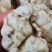 绿色生态:韭菜，韭黄，百合，中药材等