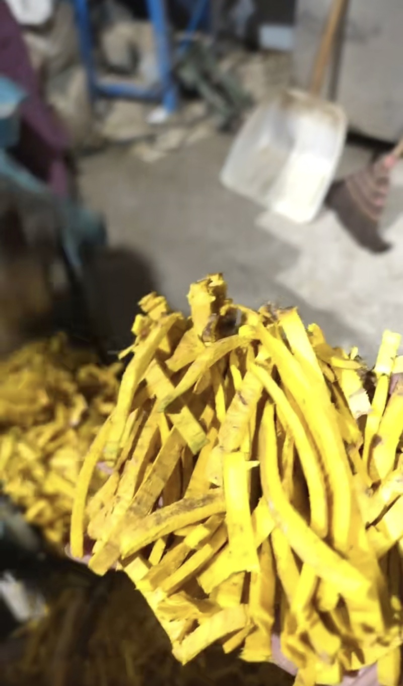 【黄柏丝·源头供应商】产地直销规格定制质量保证