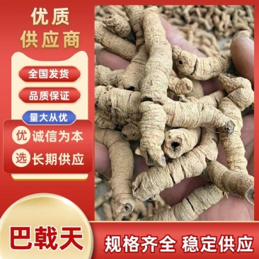巴戟天《精选特大》巴戟天干货，产地直供质量保证，全国包邮