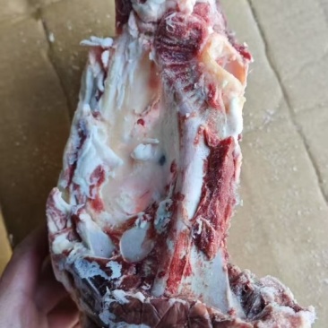 羊胯骨7500一吨