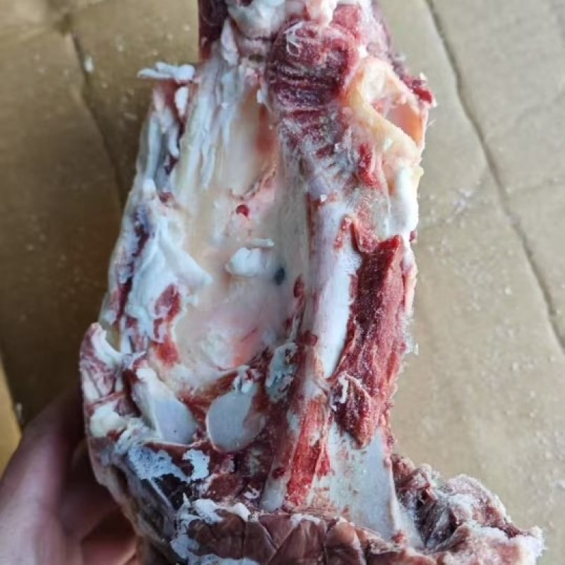 羊胯骨7500一吨