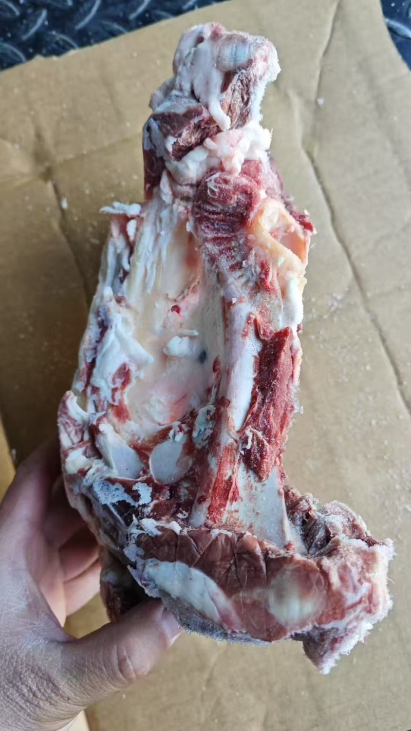 羊胯骨7500一吨