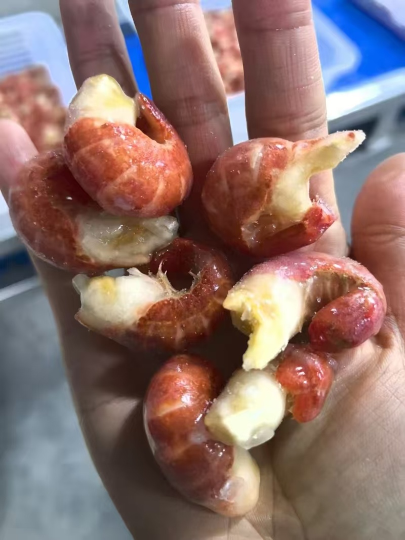 鲜冻小龙虾虾尾可对接全国各大市场连锁餐饮电商平台