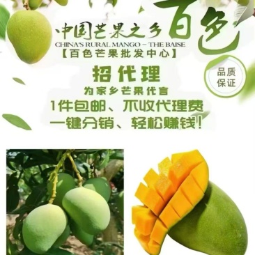 百色芒果之乡产地直发，招代理，可零售、批发
