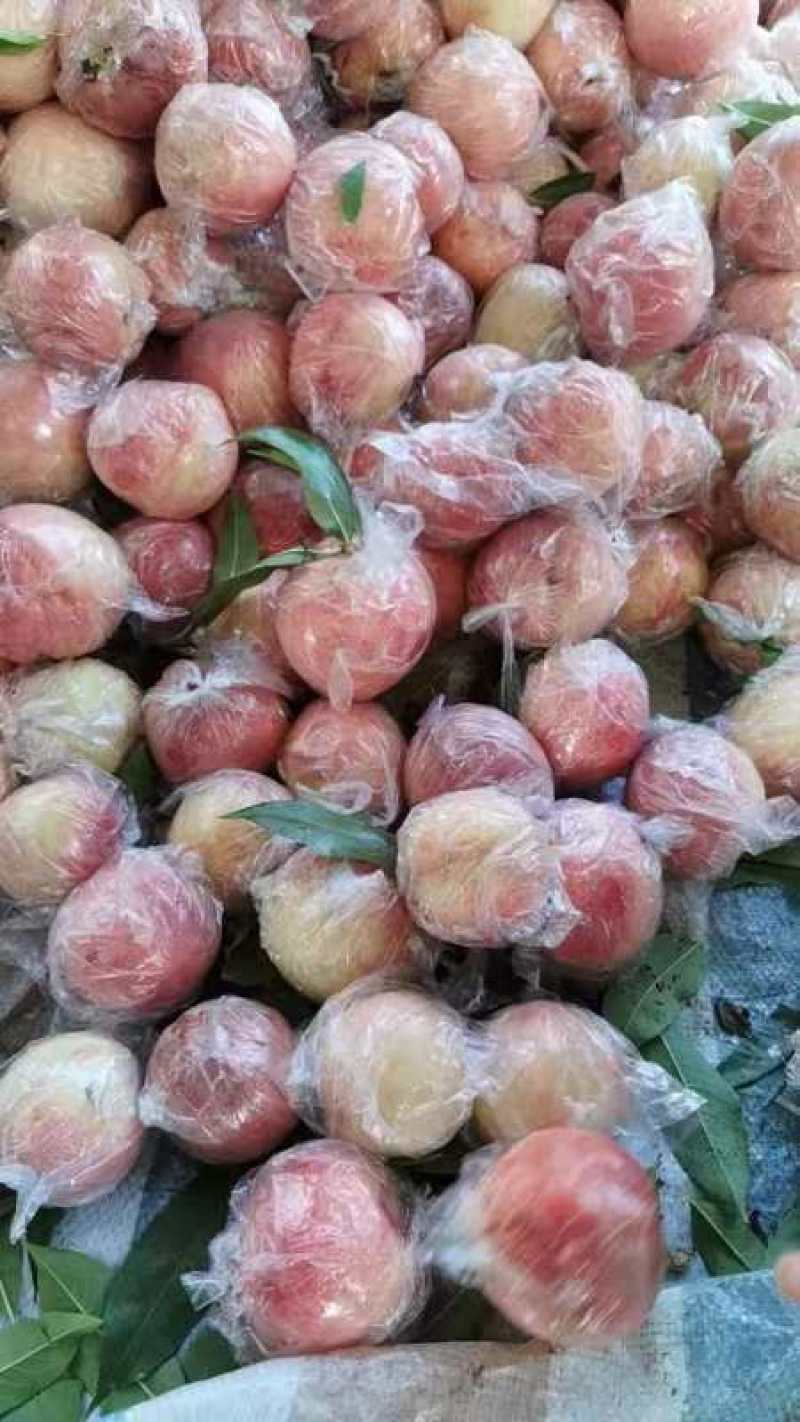 膜袋红不软离核桃种植基地，对接批发市场商超代收代卖