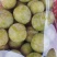 贵州六马蜂糖李