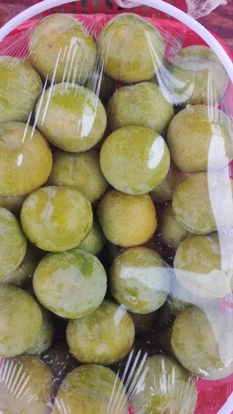 贵州六马蜂糖李