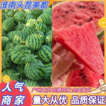 安徽亳州美都西瓜头茬露天西瓜全国发货供全国商超市场