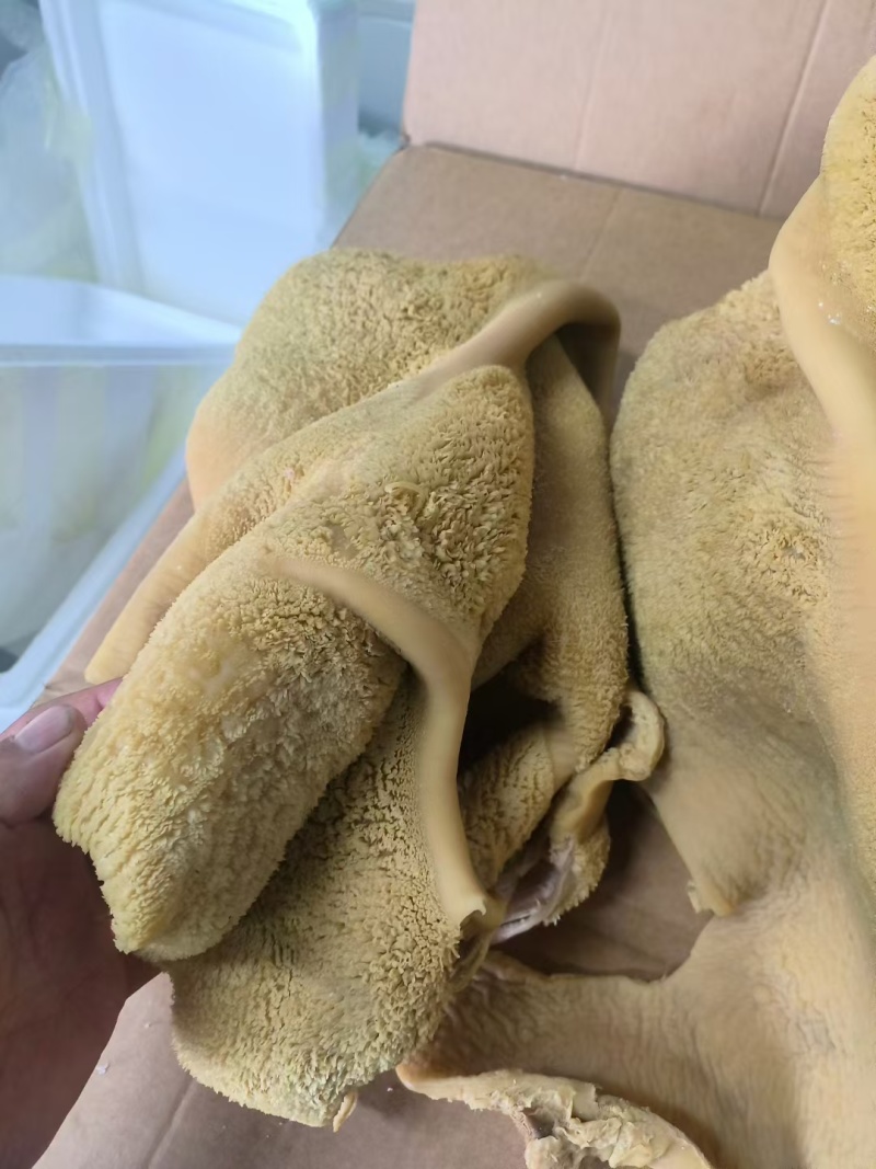 国产牛肚接定制熟牛肚纯干清水退清水煮